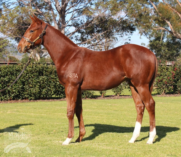 All Too Hard (AUS) / Russian Caravan (AUS) - photo 1