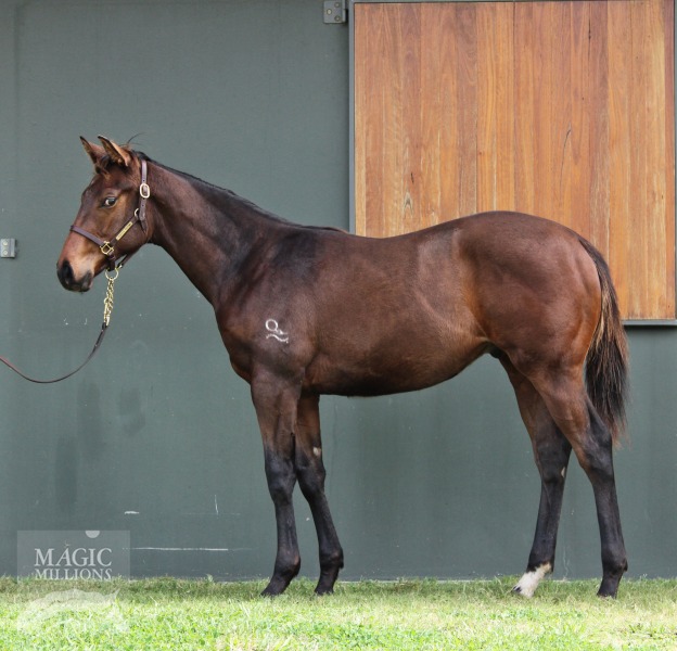 Kiss and Make Up (AUS) / Silencio (AUS) - photo 1