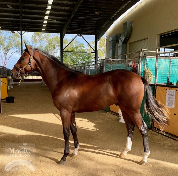 Wicked Style (USA) / Senchel (AUS) - photo 1