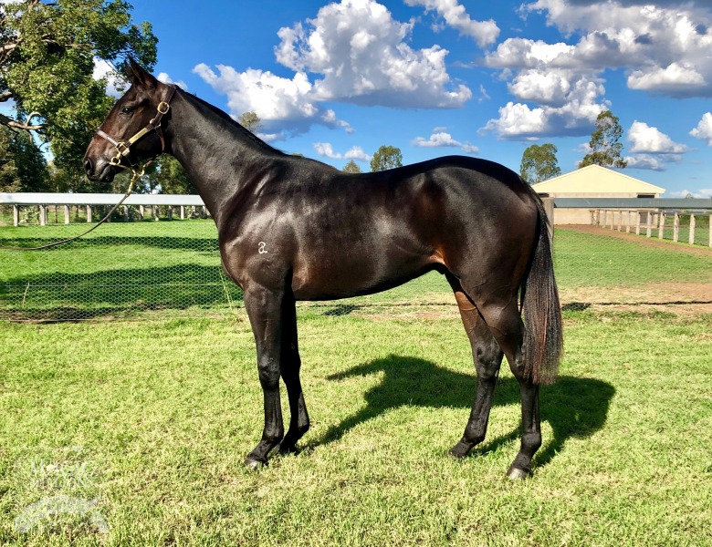 Unencumbered (AUS) / Victoria Cristal (AUS) - photo 1